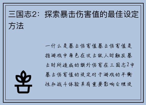 三国志2：探索暴击伤害值的最佳设定方法